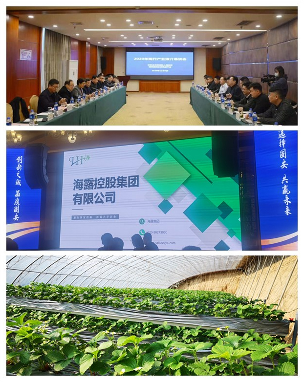 腾博会官网 - 诚信为本,专业服务!