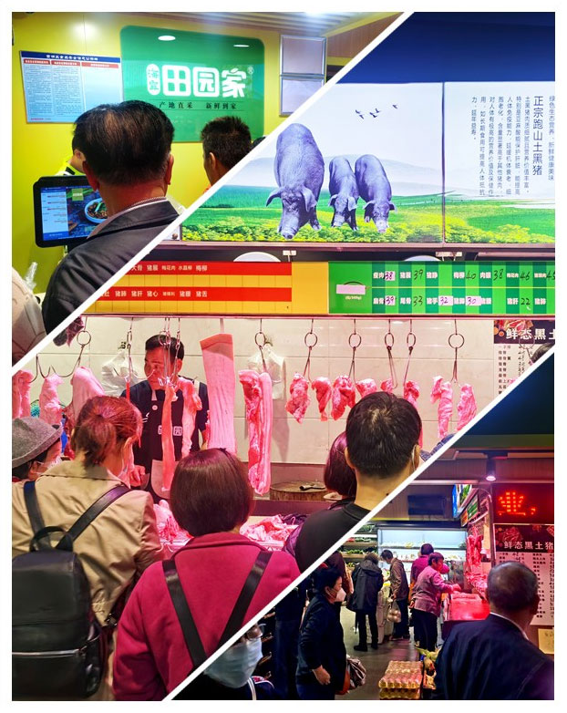 腾博会官网 - 诚信为本,专业服务!