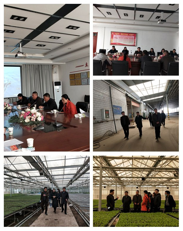 腾博会官网 - 诚信为本,专业服务!