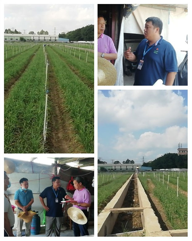 腾博会官网 - 诚信为本,专业服务!