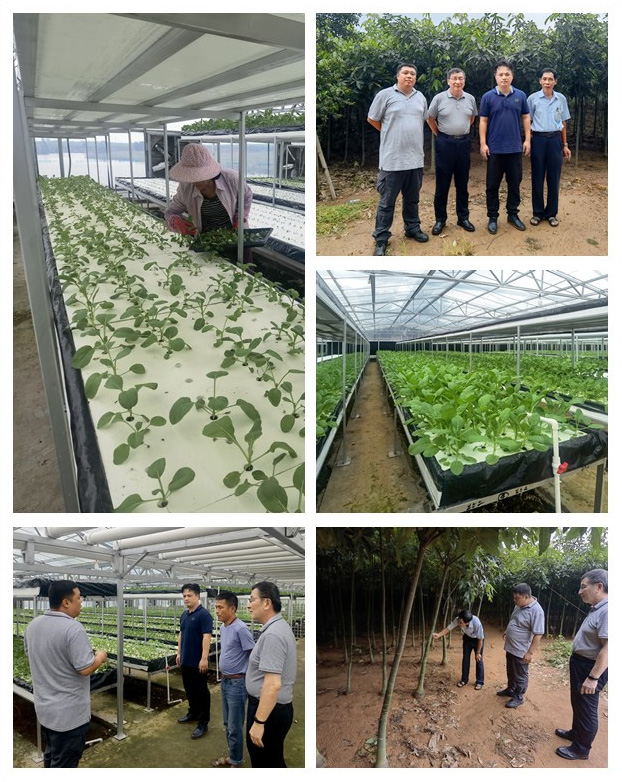 腾博会官网 - 诚信为本,专业服务!