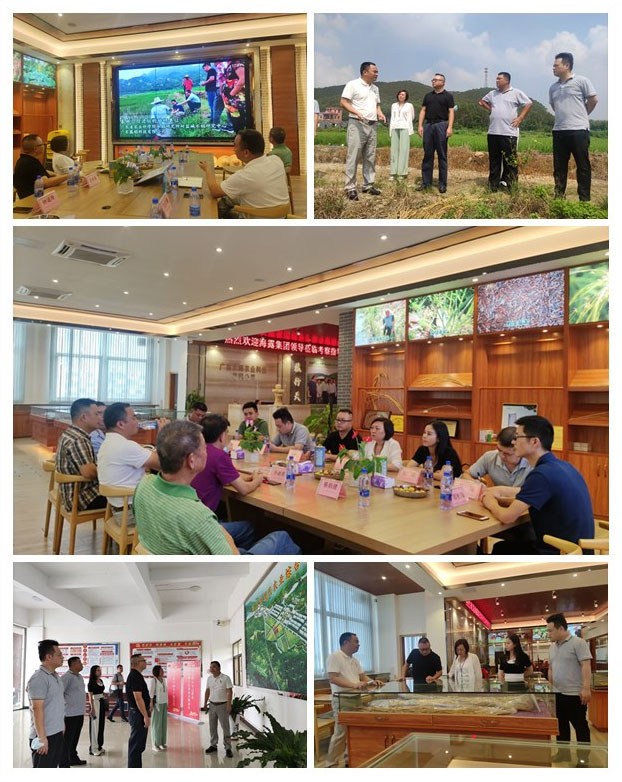 腾博会官网 - 诚信为本,专业服务!