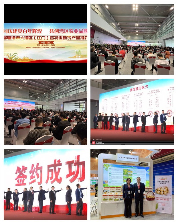 腾博会官网 - 诚信为本,专业服务!