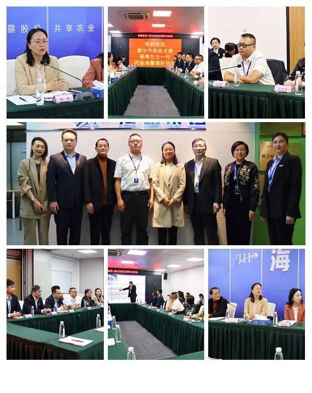 腾博会官网 - 诚信为本,专业服务!