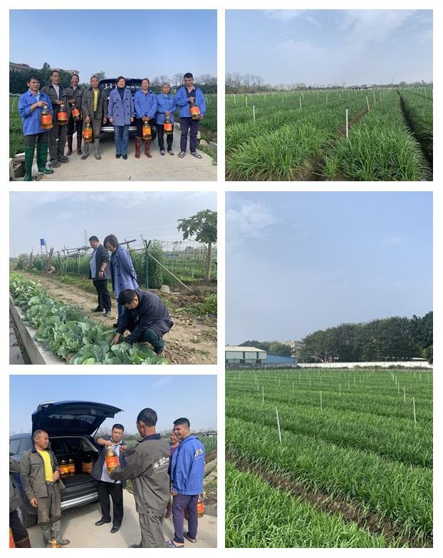 腾博会官网 - 诚信为本,专业服务!