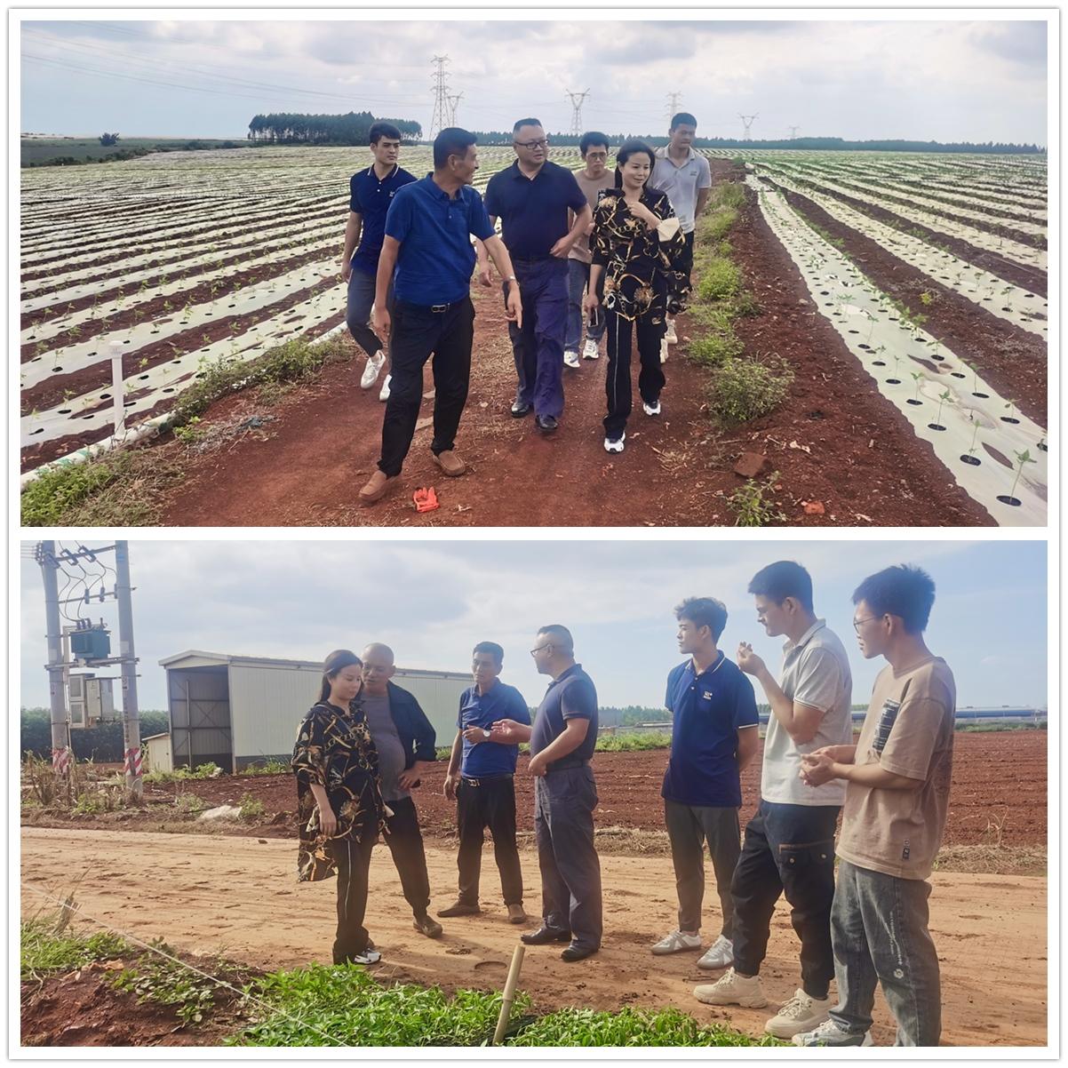 腾博会官网 - 诚信为本,专业服务!