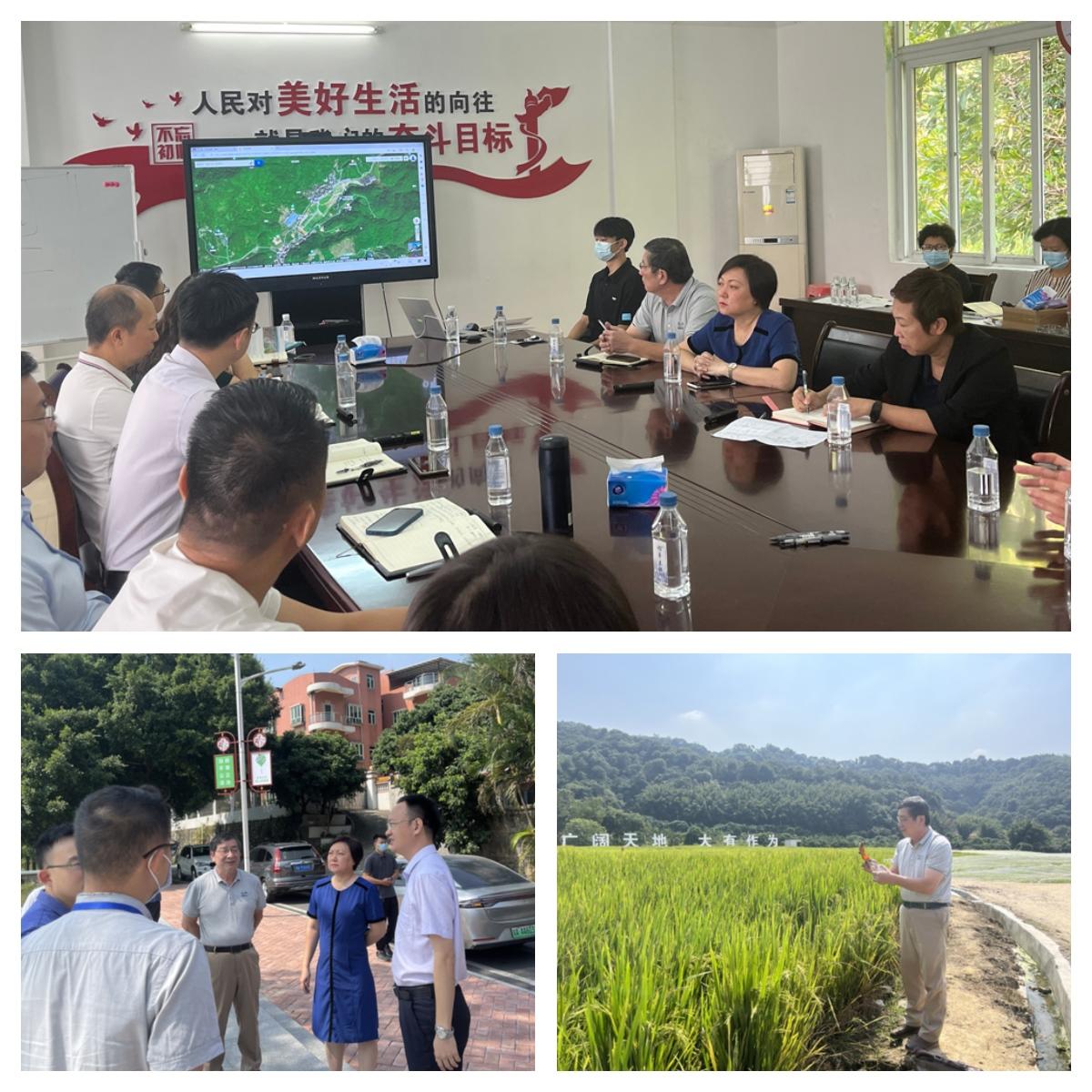 腾博会官网 - 诚信为本,专业服务!