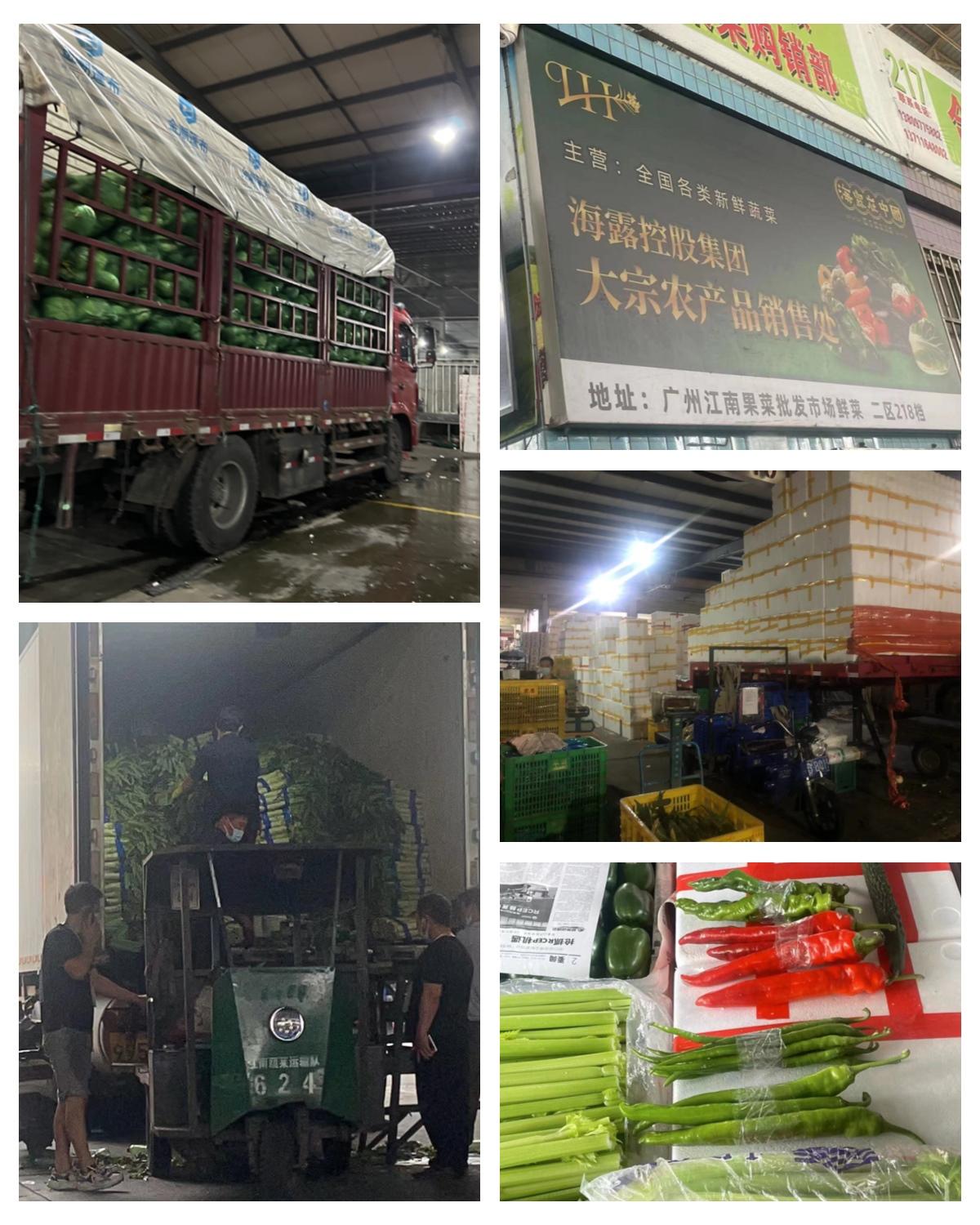 腾博会官网 - 诚信为本,专业服务!