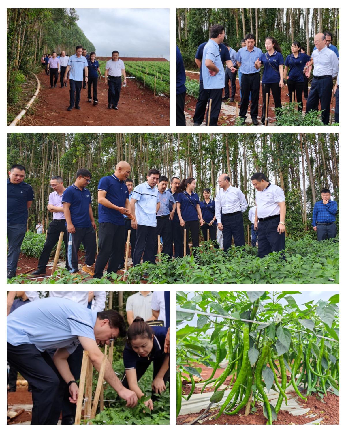 腾博会官网 - 诚信为本,专业服务!