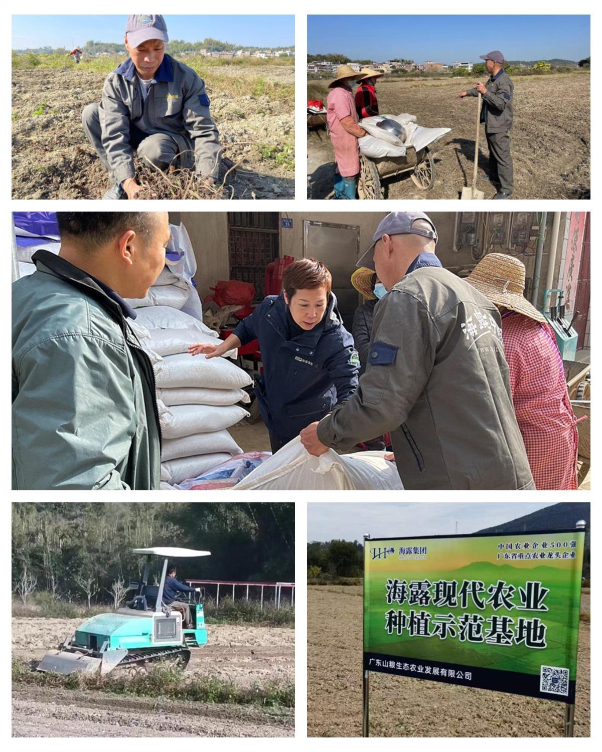 腾博会官网 - 诚信为本,专业服务!