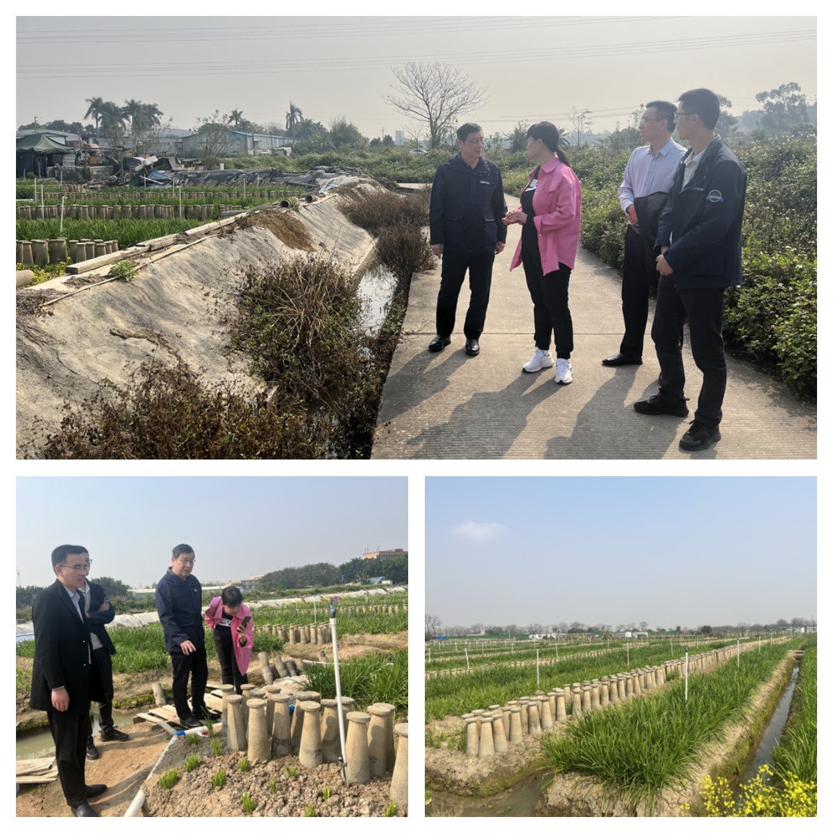 腾博会官网 - 诚信为本,专业服务!