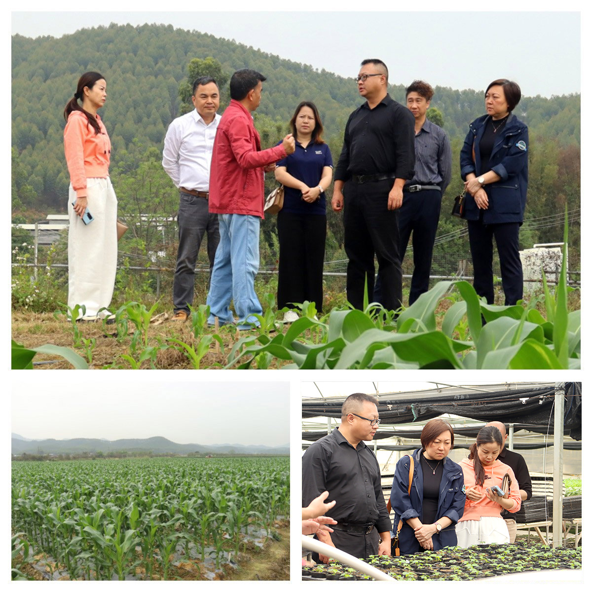 腾博会官网 - 诚信为本,专业服务!