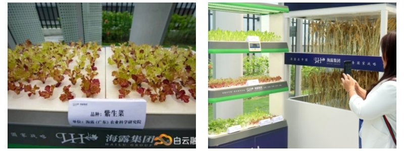 腾博会官网 - 诚信为本,专业服务!