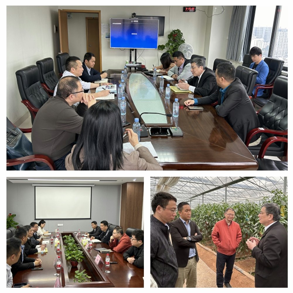 腾博会官网 - 诚信为本,专业服务!