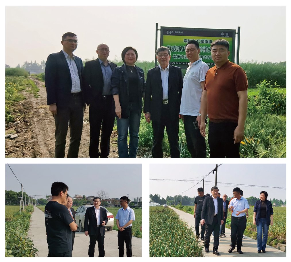 腾博会官网 - 诚信为本,专业服务!