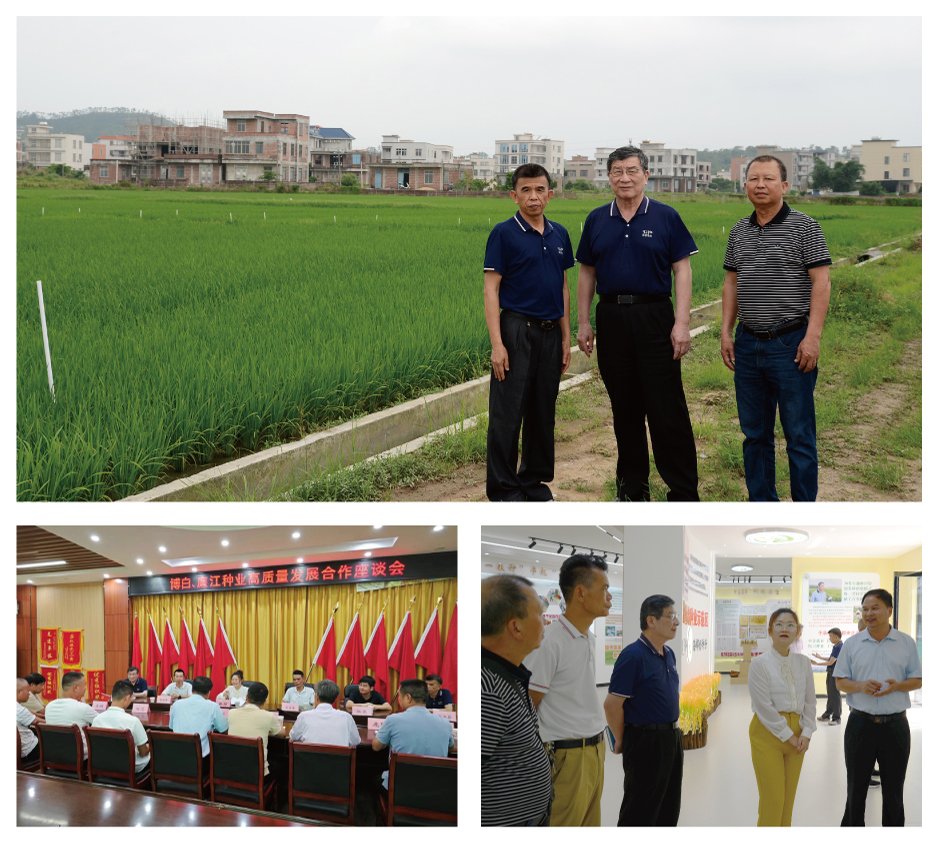 腾博会官网 - 诚信为本,专业服务!