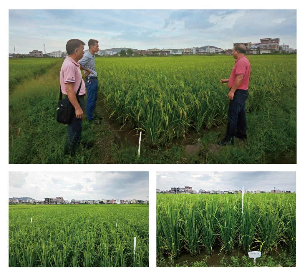 腾博会官网 - 诚信为本,专业服务!