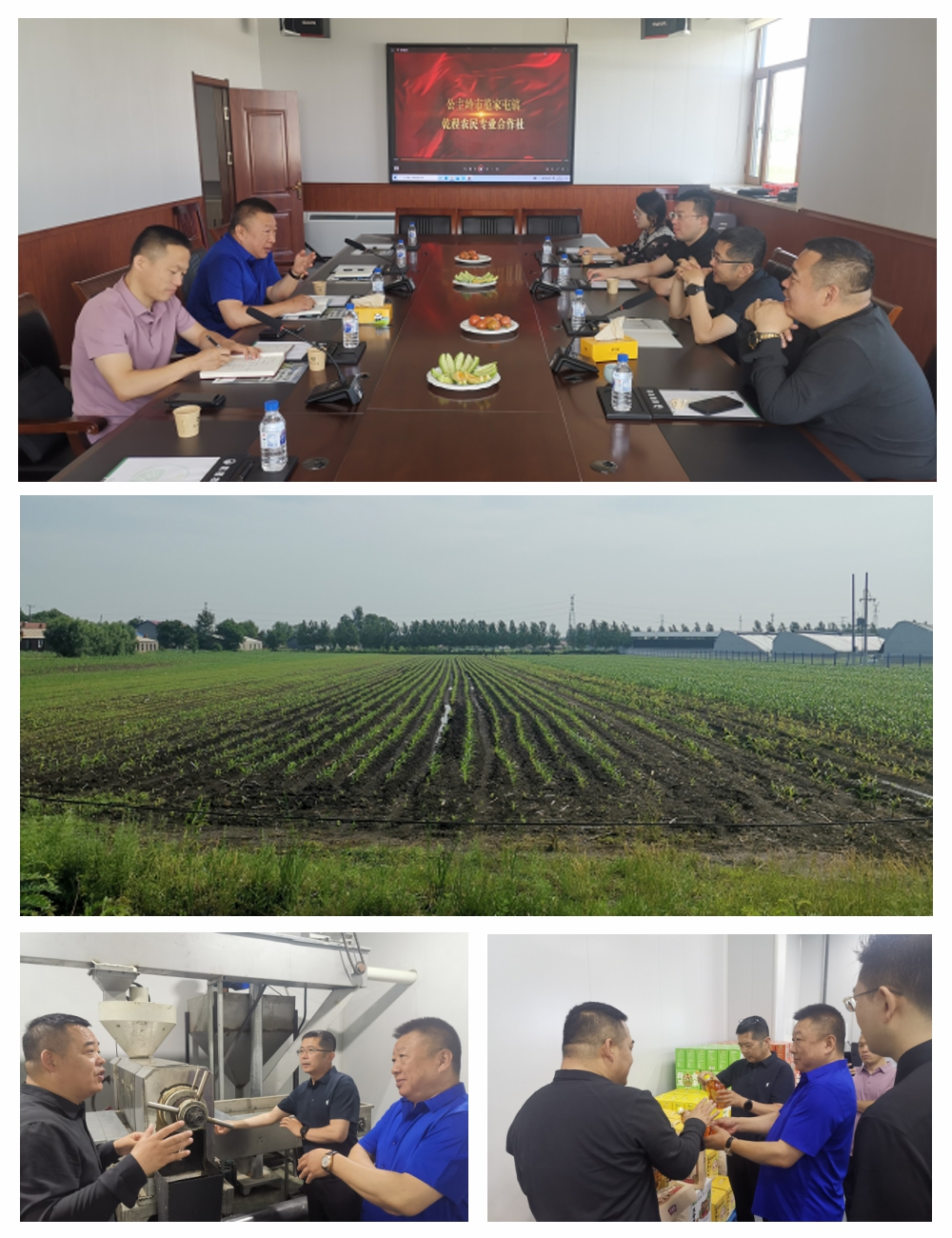 腾博会官网 - 诚信为本,专业服务!