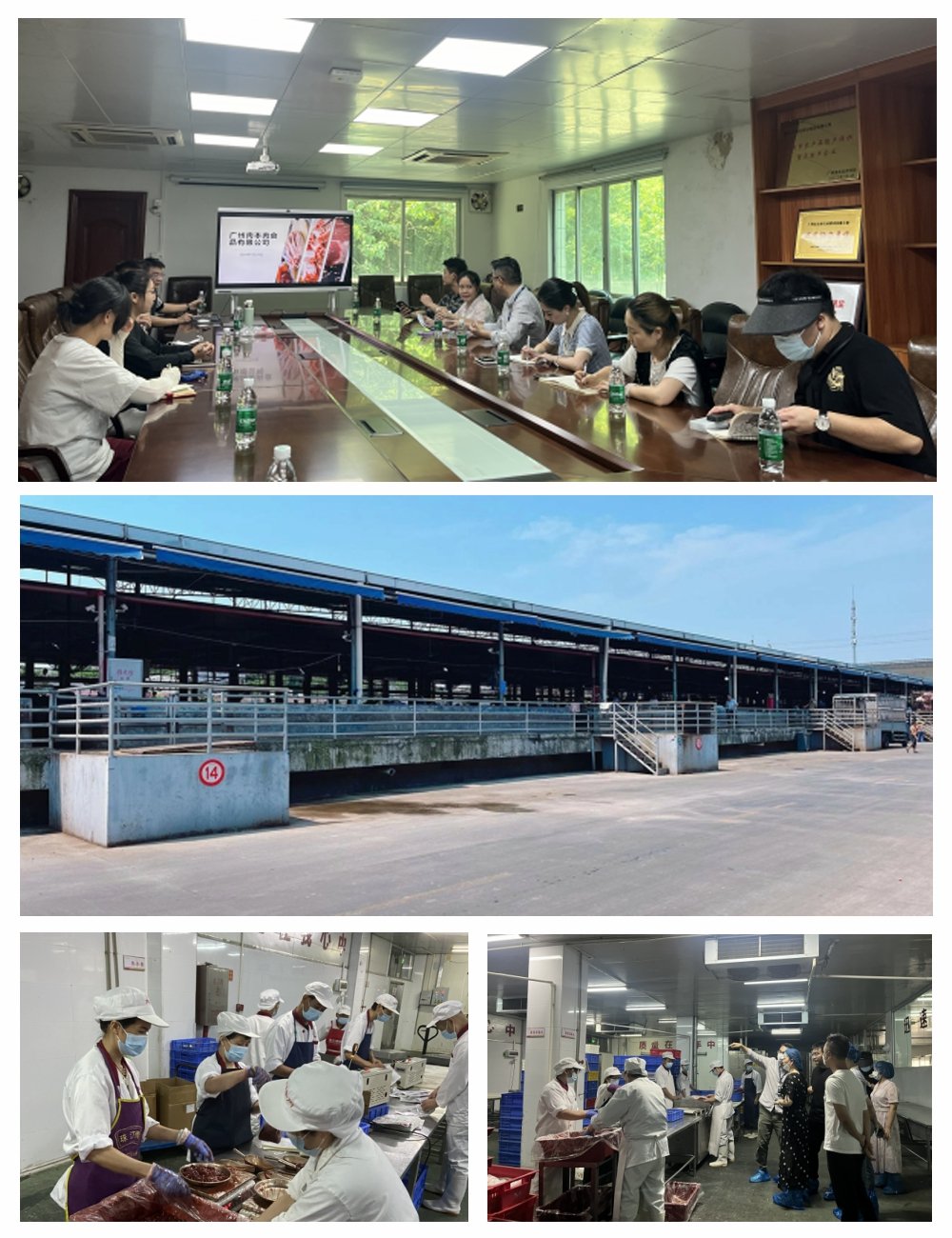 腾博会官网 - 诚信为本,专业服务!