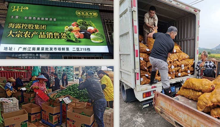 腾博会官网 - 诚信为本,专业服务!