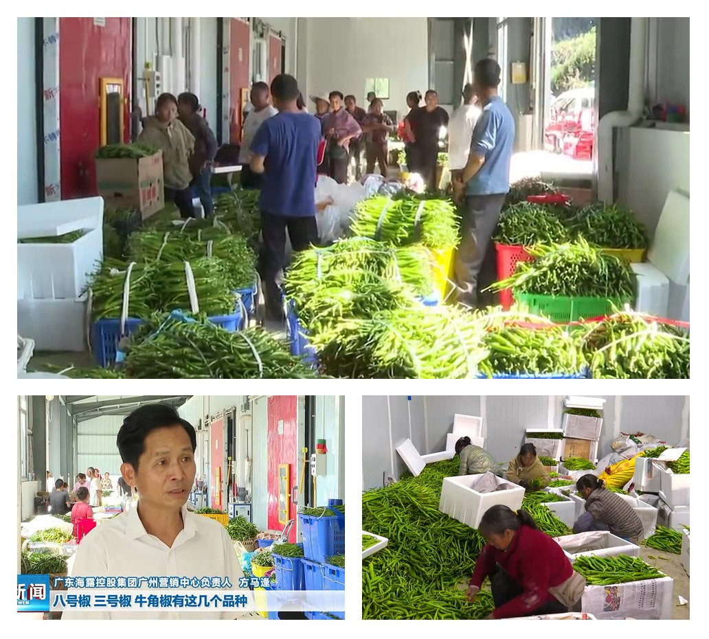 腾博会官网 - 诚信为本,专业服务!