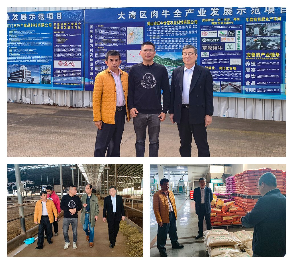 腾博会官网 - 诚信为本,专业服务!