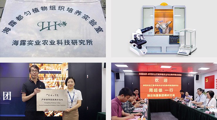 腾博会官网 - 诚信为本,专业服务!