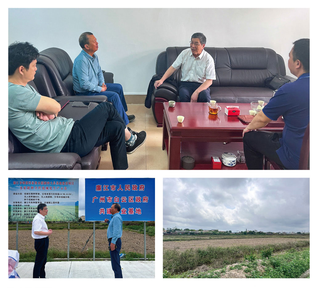 腾博会官网 - 诚信为本,专业服务!