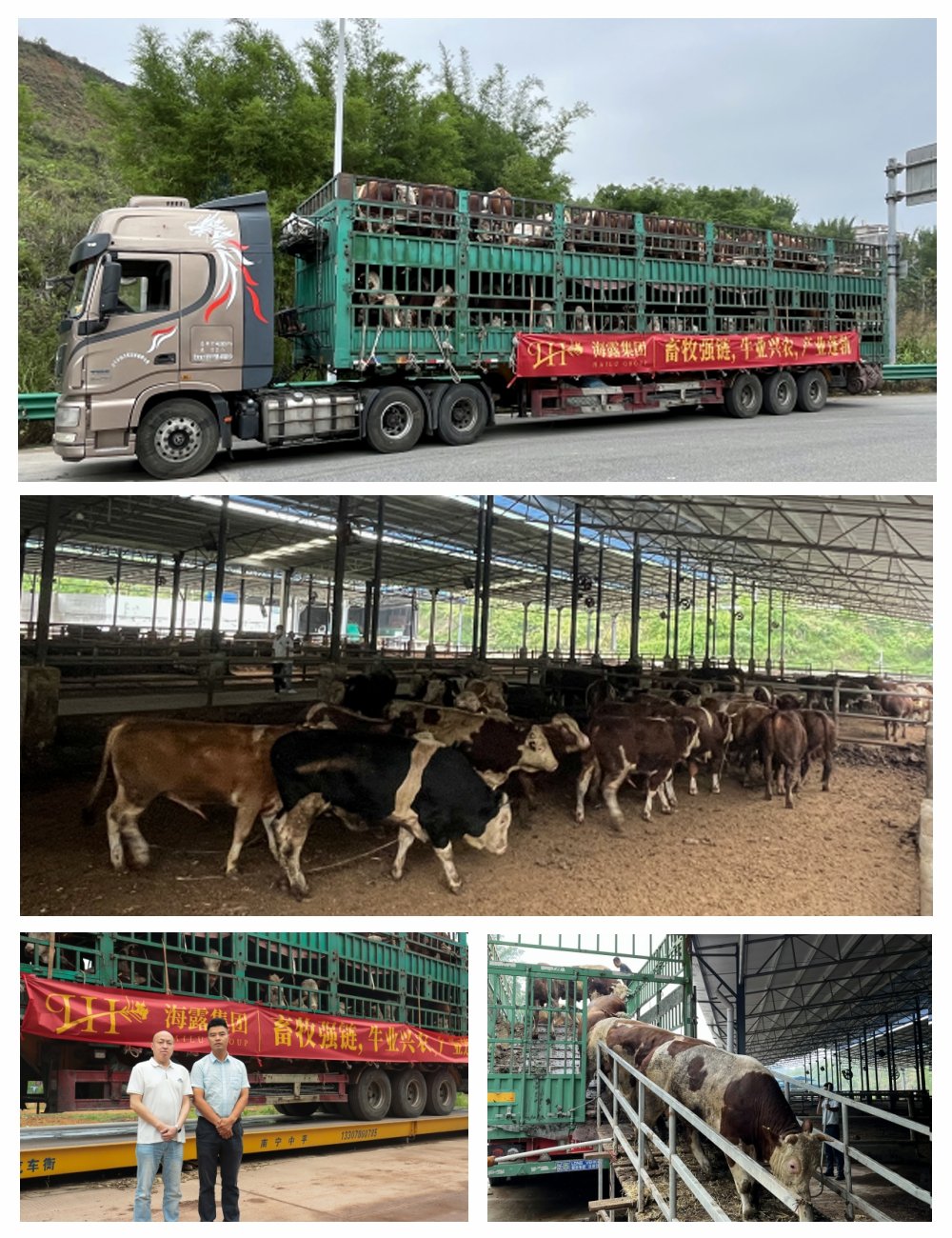 腾博会官网 - 诚信为本,专业服务!