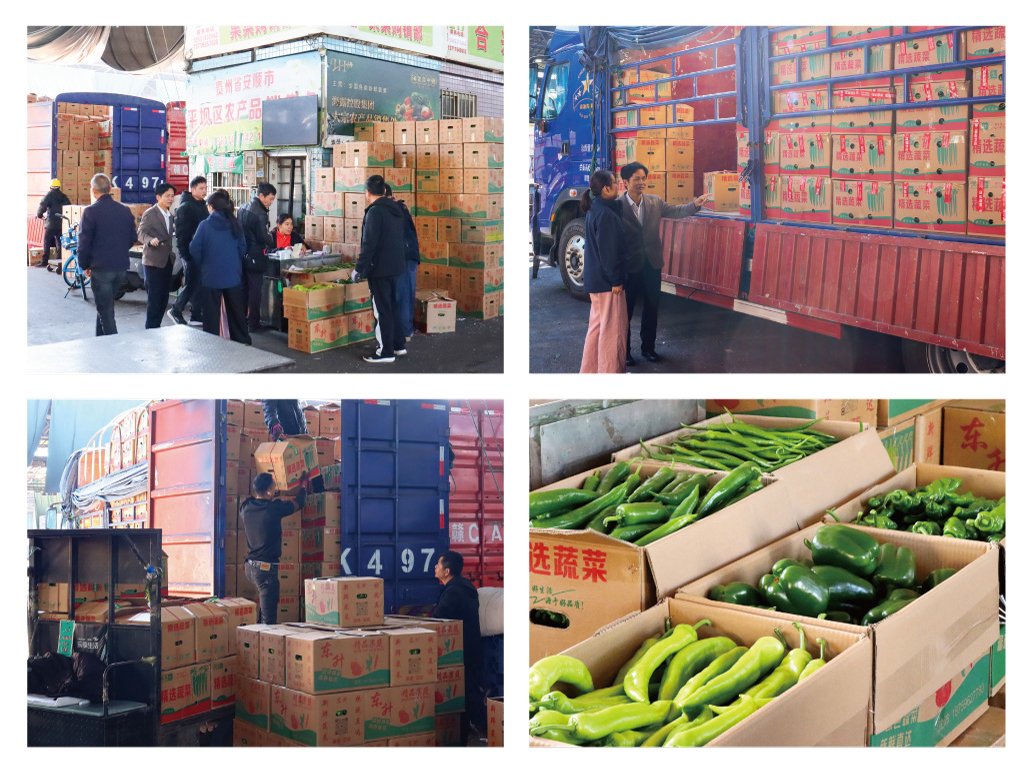 腾博会官网 - 诚信为本,专业服务!